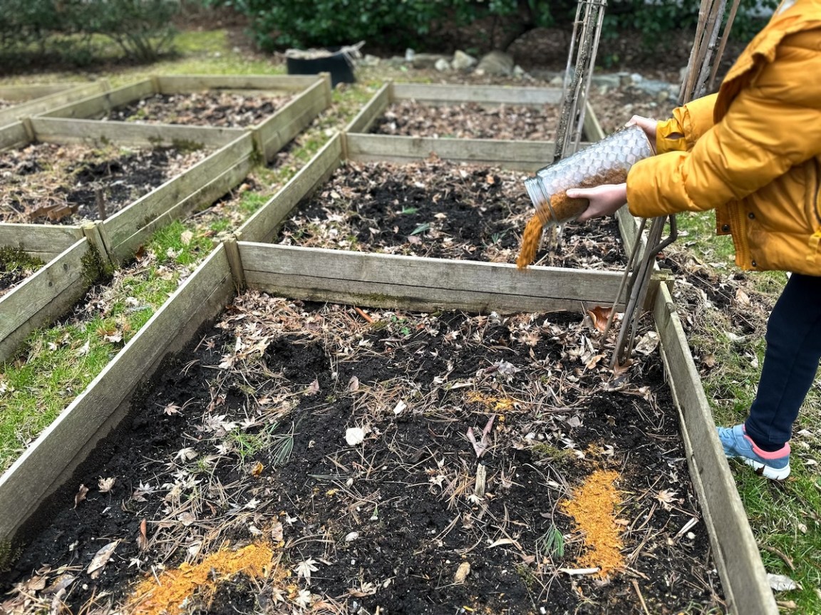 How to Lower Soil pH for a Thriving Lawn and Healthy Plants