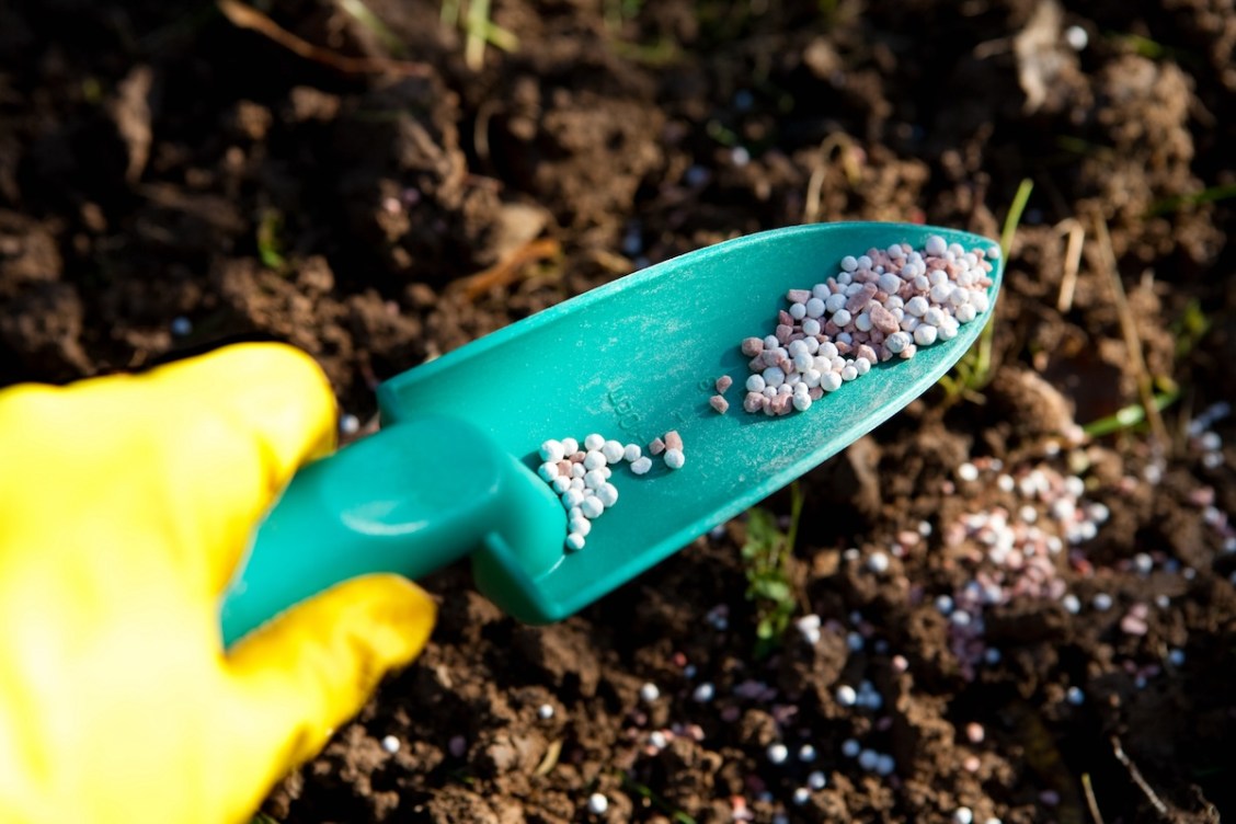 How to Lower Soil pH for a Thriving Lawn and Healthy Plants