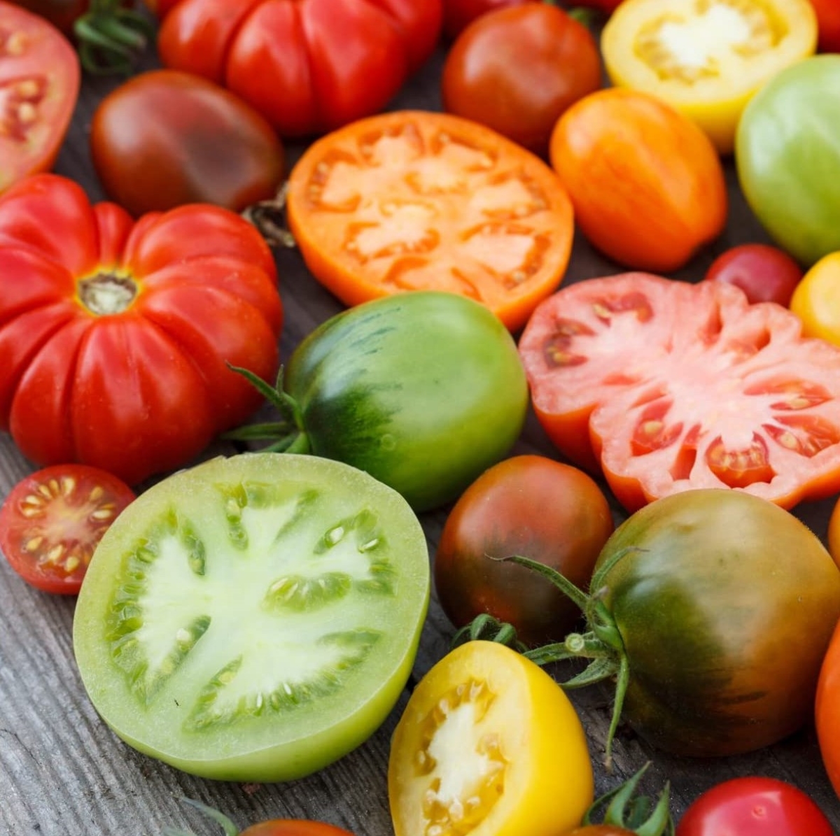 types of tomatoes - variety of different colored tomatoes