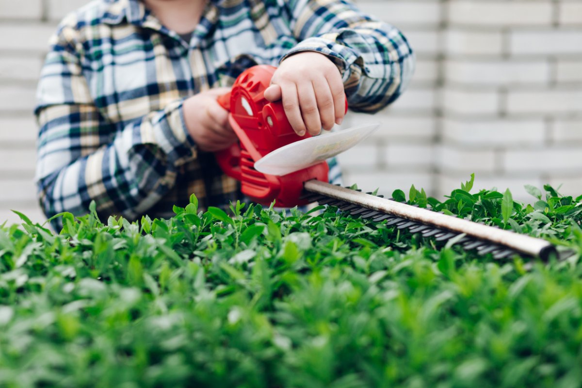 Woman using lawn tool to trim shrubs.