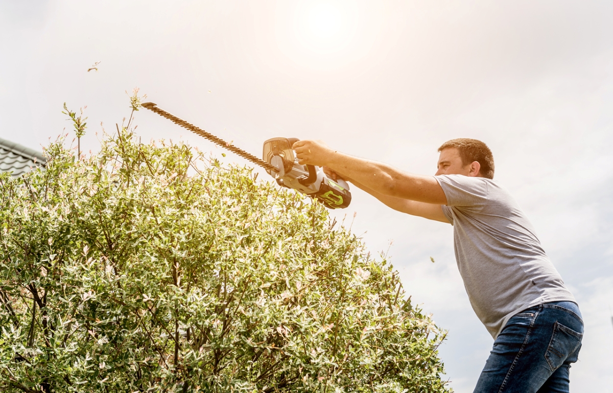 most dangerous power tools - man in gray shirt using hedge trimmer