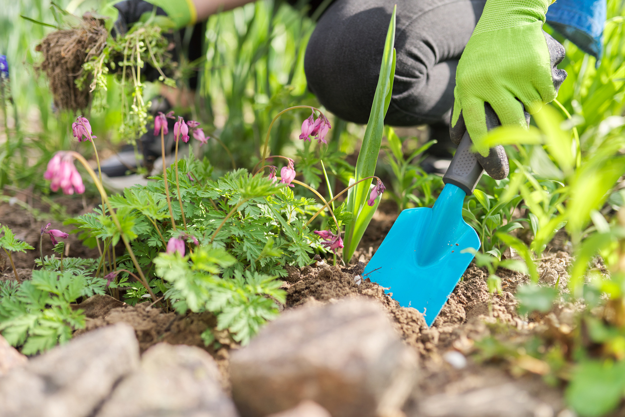 iStock-1279459569 2023 bob vila editors project picks working with soil and flowers in the yard