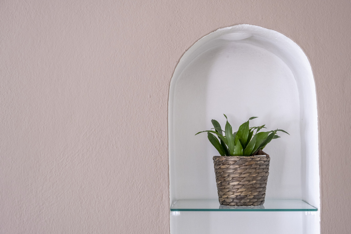 built-in-planter-wall-niche-with-plant
