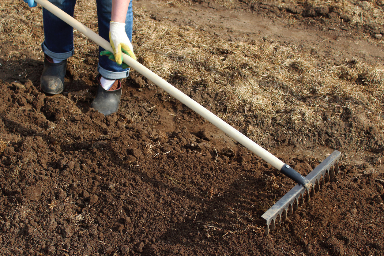 A woman is leveling the ground with a rake in the garden.