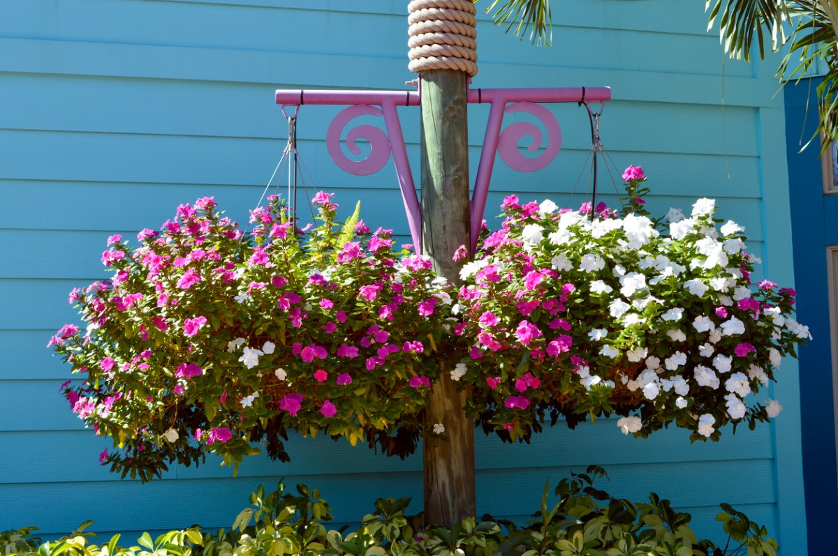 Multicolored impatiens flowers in a hanging basket in front of an aqua home exterior.