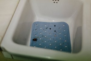 tiny black bugs in bathroom