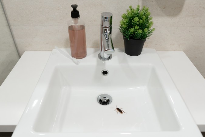Black Mold in the Bathroom? Cleaning Supplies May Not Be Enough