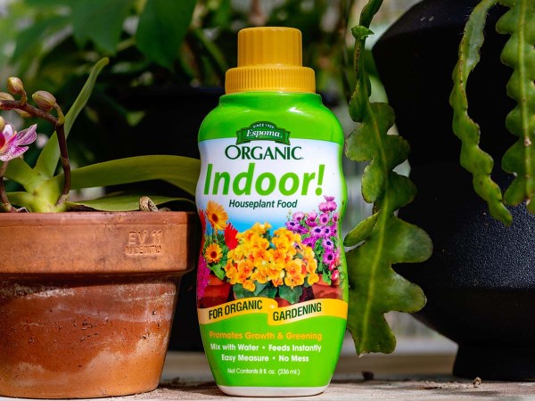 See What Happened when I Used Espoma Organic Indoor Plant Fertilizer on My Houseplants for a Month