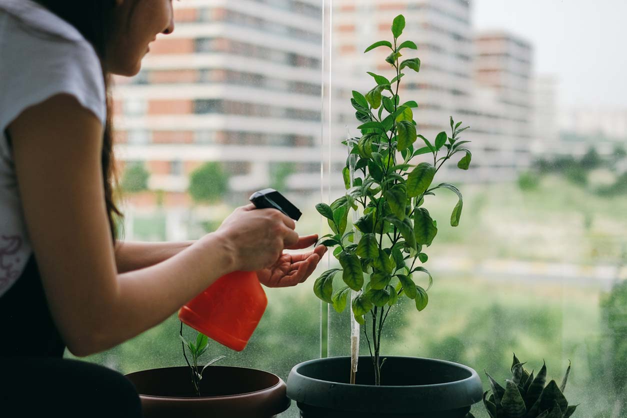 How Much Does a Garden Window Cost to Install? (2023) Bob Vila