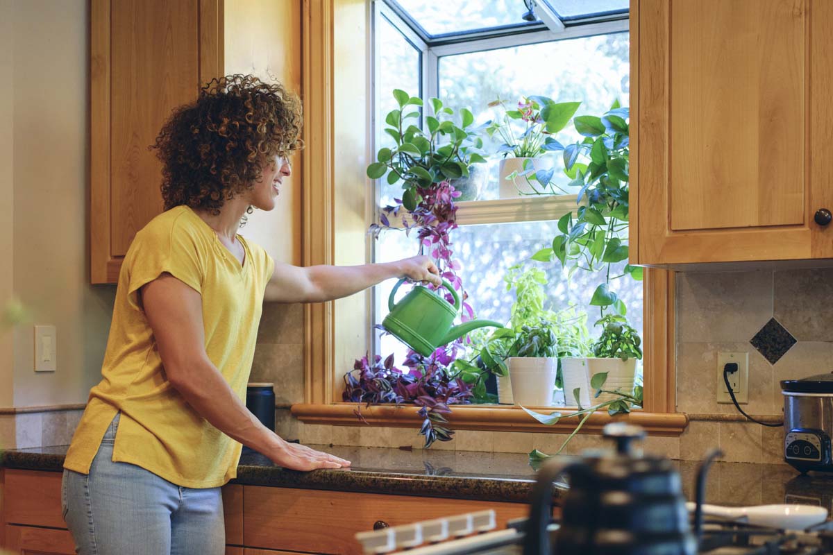 How Much Does a Garden Window Cost to Install? (2023) Bob Vila