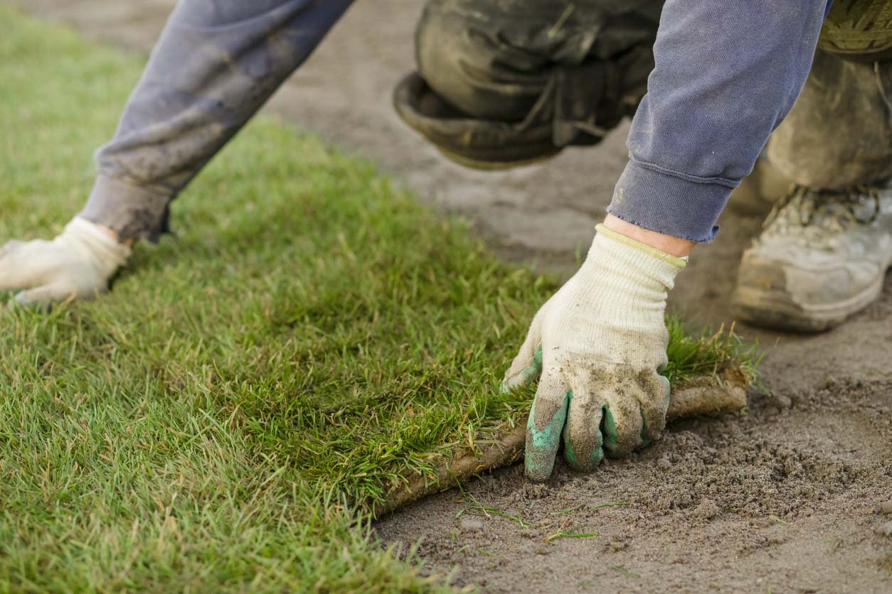 How to Get Rid of Ground Bees