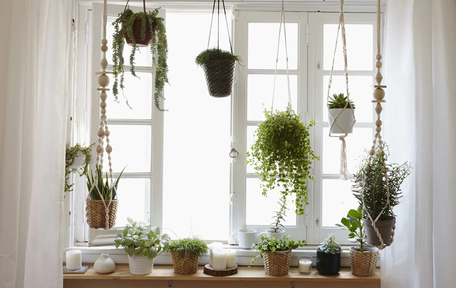 Ikea ways to dress up a window grow-a-window-garden-at-home-27dda70085f260f135d8cd51a0baaaa3