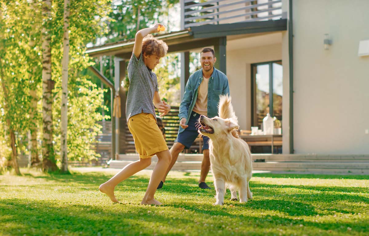 Underground pet fence cost hotsell