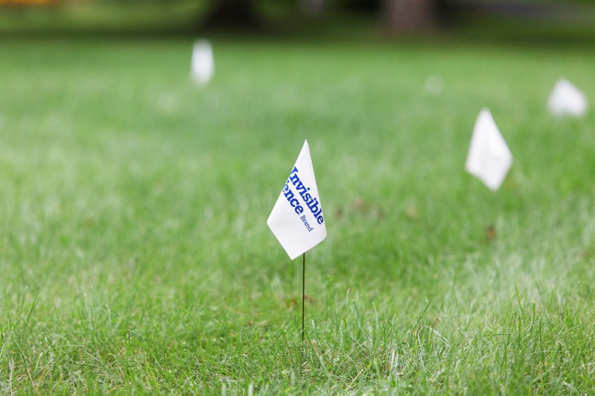 How Much Does An Invisible Fence Cost 2024 Bob Vila how-much-does-an-invisible-fence-cost-2024-bob-vila