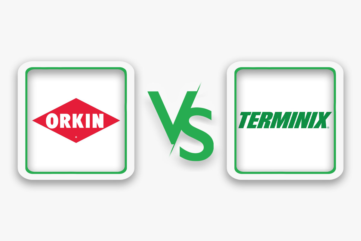 Orkin vs. Terminix