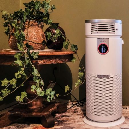 Shark Air Purifier Review: Is This the Best Air Purifier on the Market? We Tested it to Find out!