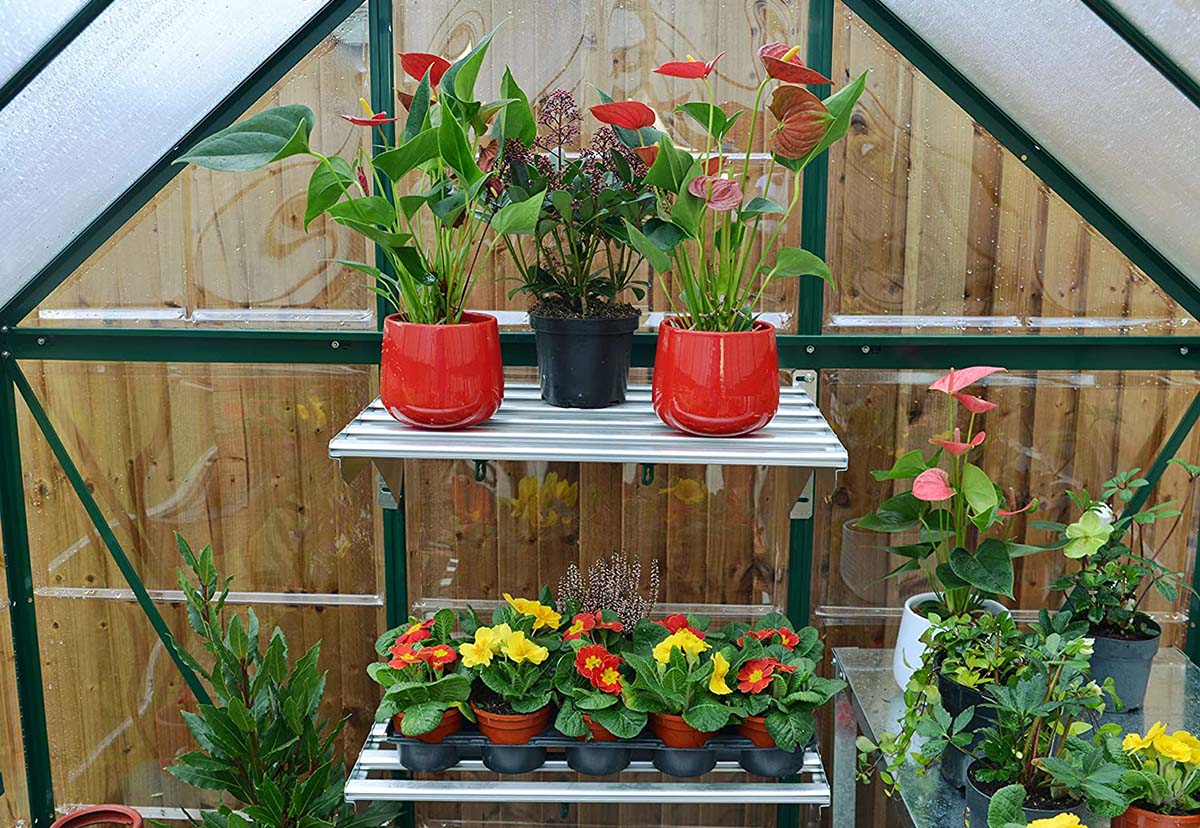 The Best Greenhouse Kit Options