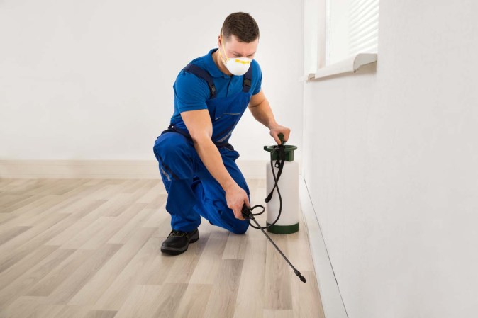 The Best Pest Control Companies in Arizona of 2023
