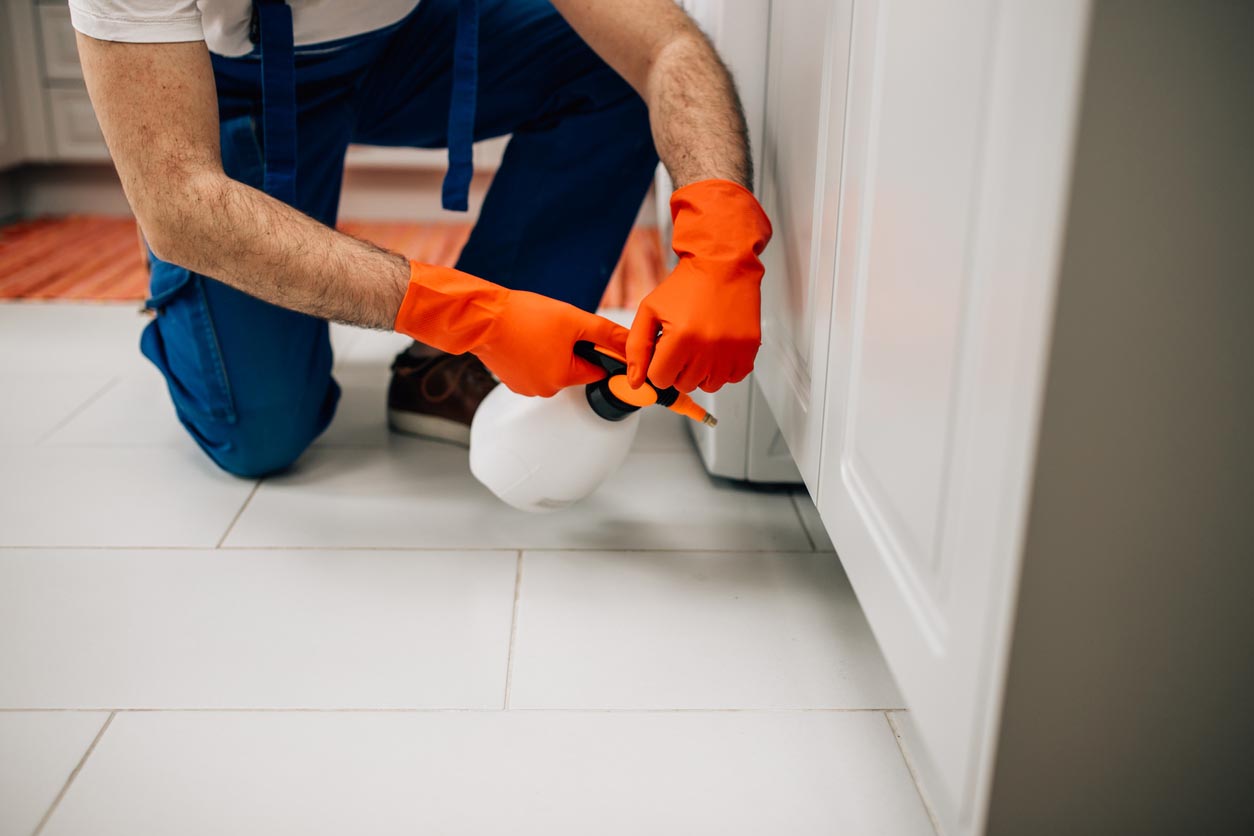 The Best Pest Control Companies in Florida Options