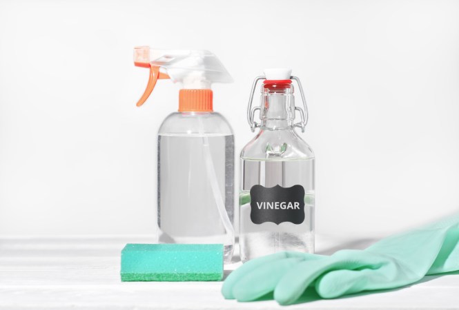 The Best Vinegar for Cleaning: 7 Types of Vinegar Every DIYer Should Know