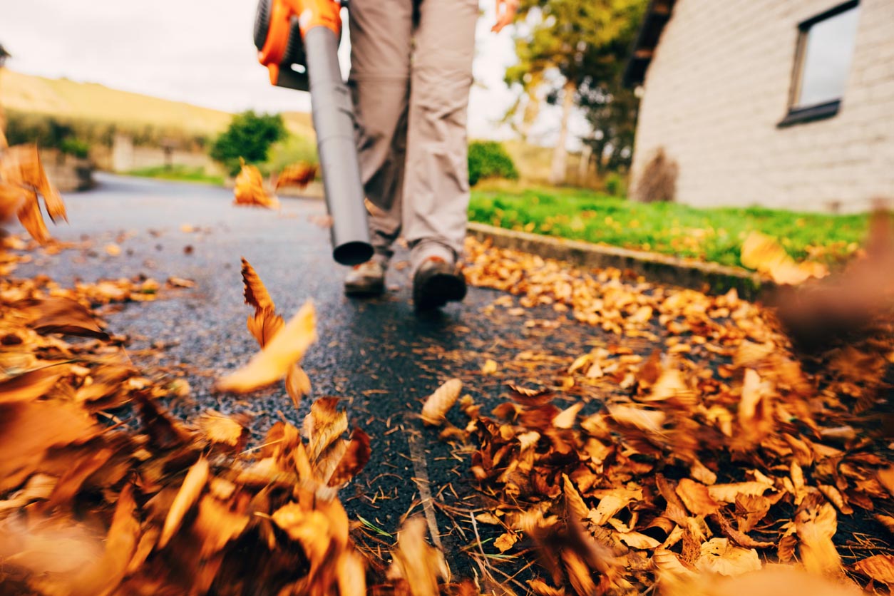Yard Cleanup Cost