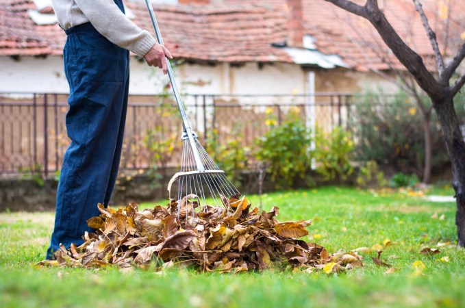 How Much Does Fall Cleanup Cost?