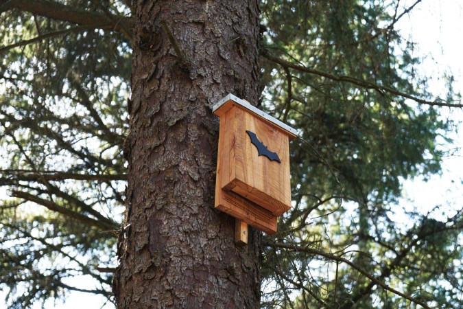 7 Bat House Plans for DIY Mosquito Control