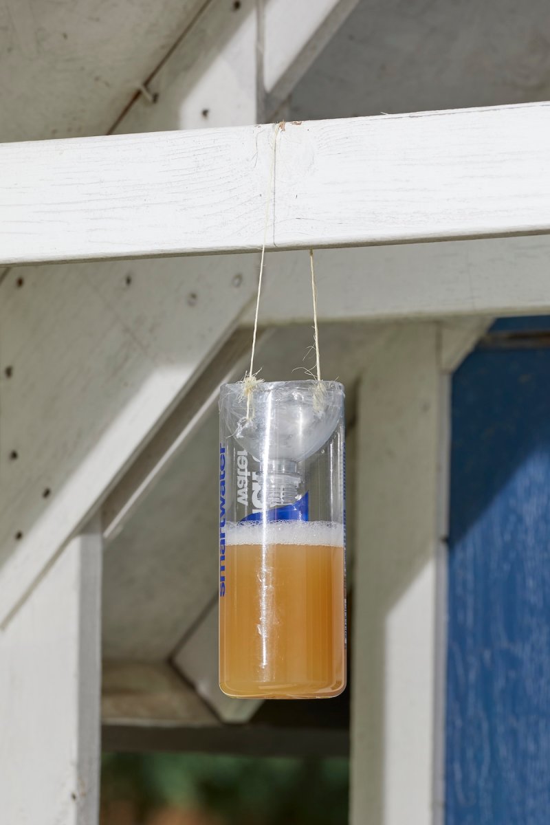 A DIY wasp trap hanging on a garden shed.