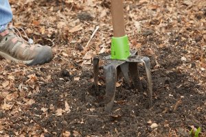 Woman uses a manual cultivator to till soil.
