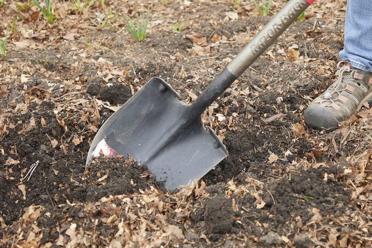 A woman plows a green grass garden with a shovel.