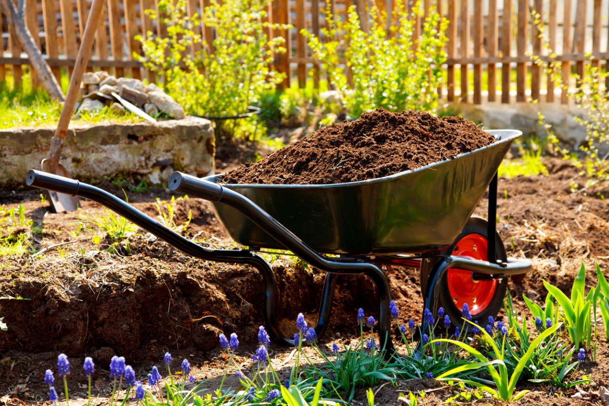 how to till a garden without a tiller - wheelbarrow with compost next to garden