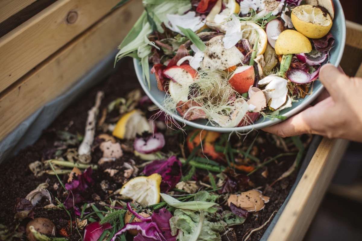 free ways to start a garden - leftover vegetable compost