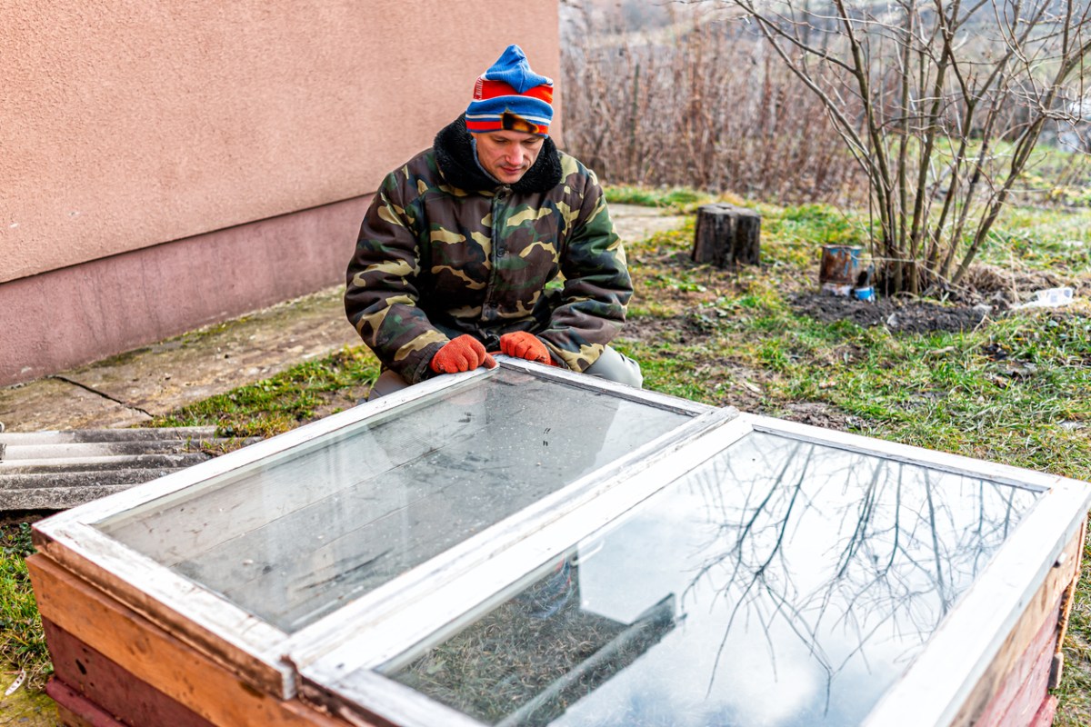 iStock-1217411186 revive overwintered plants Man sitting working on diy project construction closeup of vegetable winter garden for raised bed cold frame box