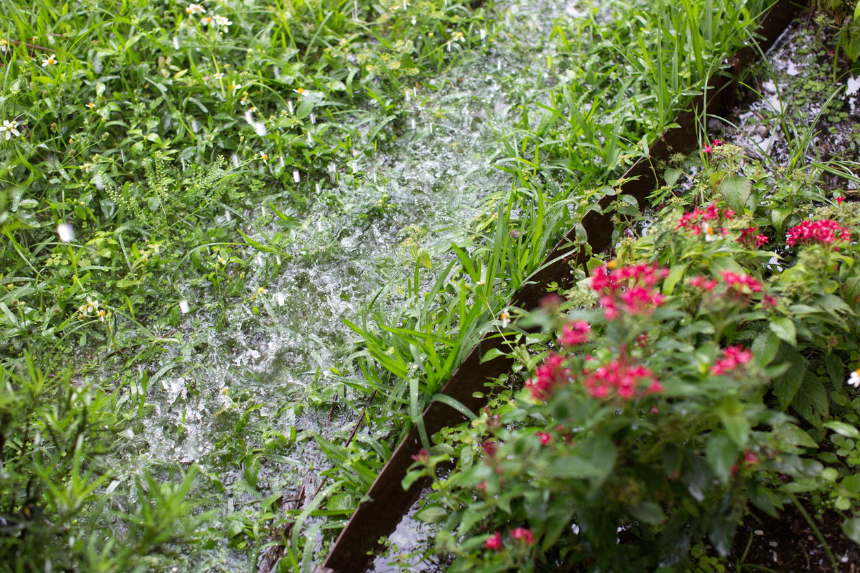 iStock-1240158284 14 Wise Ways to Weatherproof Your Garden Rain flooding front lawn