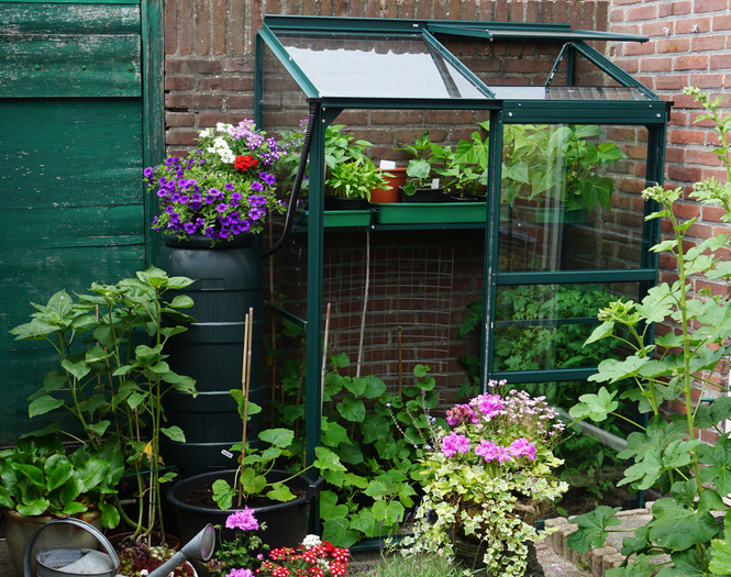pocket-garden-potted-flowering-plants-and-small-green-plants-in-a-small-greenhouse-next-to-a-brick-house