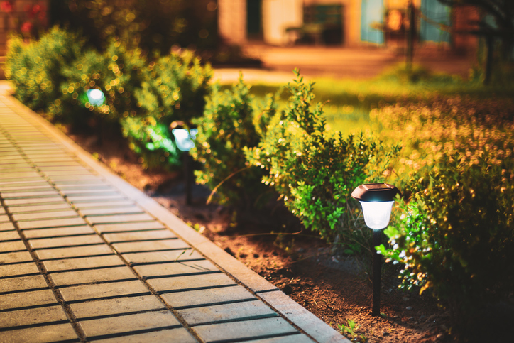 uplighting-landscape-solar-path-lights-in-shrubs-next-to-walkway