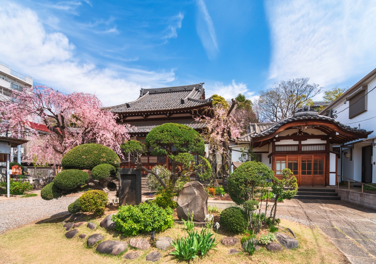 zen garden ideas - japanese pruned tree garden