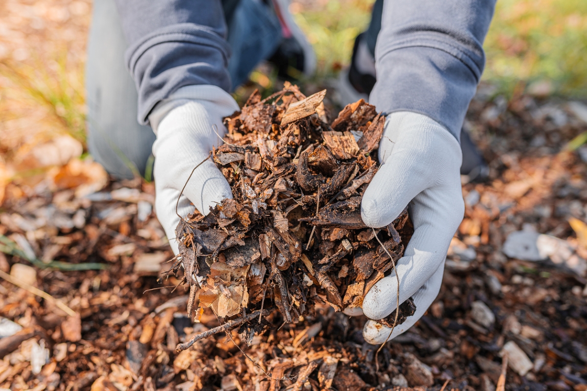 free ways to start a garden - gloved hands holding tree mulch