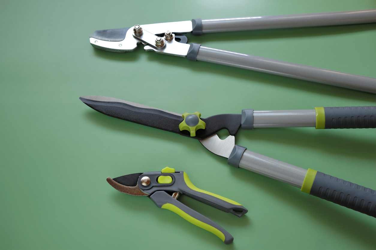 iStock-1351098772 pruning mistakes Gardening Tools.Garden shears