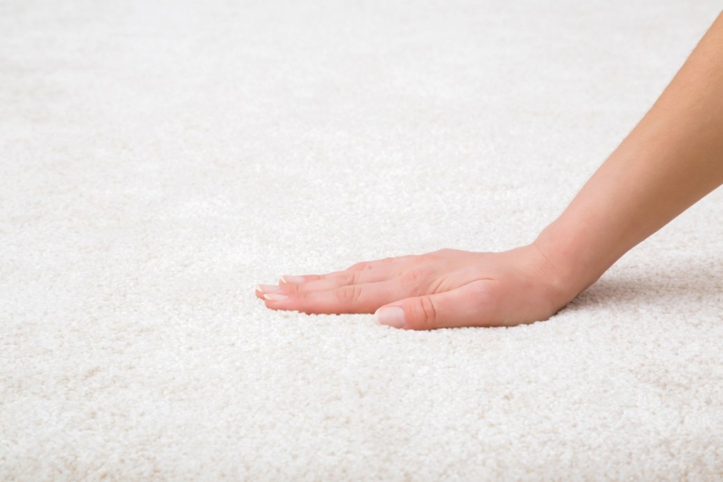 How Long Does It Take Carpet to Dry After Cleaning? Bob Vila