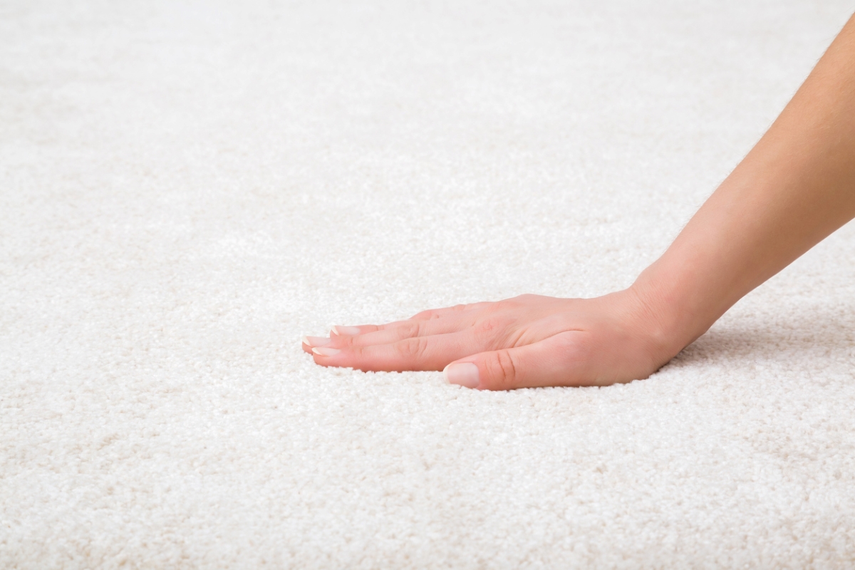 how long does it take carpet to dry after cleaning - hand on white fluffy carpet