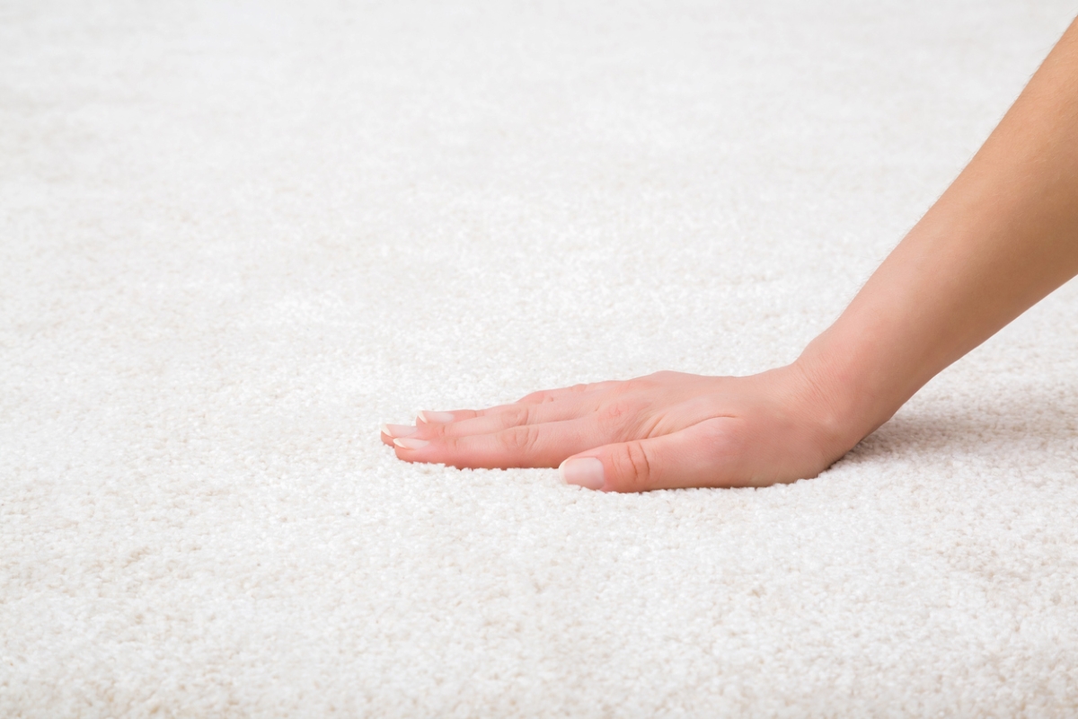 How Long Does It Take Carpet to Dry After Cleaning? Bob Vila