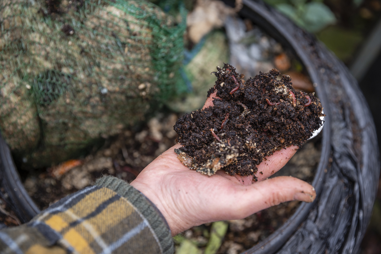 iStock-1382387344 14 Wise Ways to Weatherproof Your Garden Worms in the Compost Bin