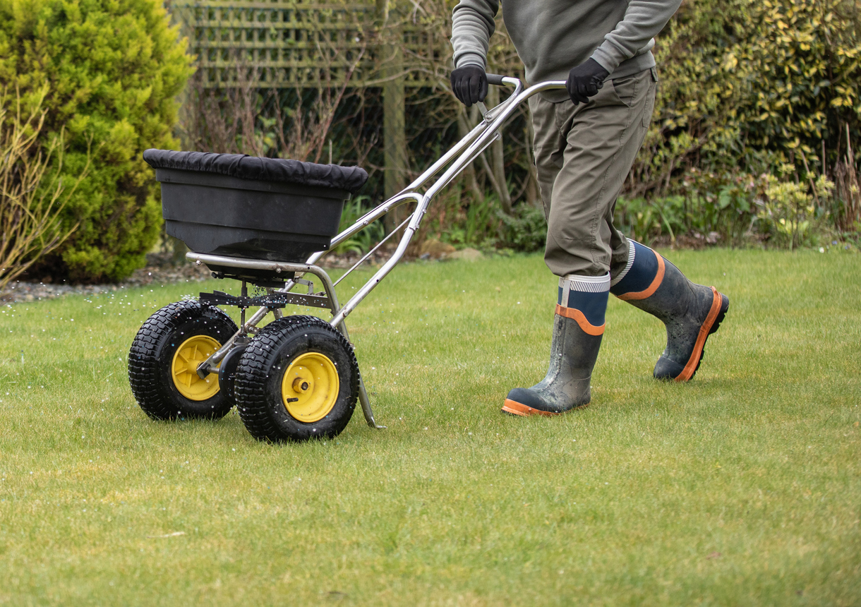 iStock-1389549513 things a landscaper can do Gardener horticulturalist applying a feed on to the lawn