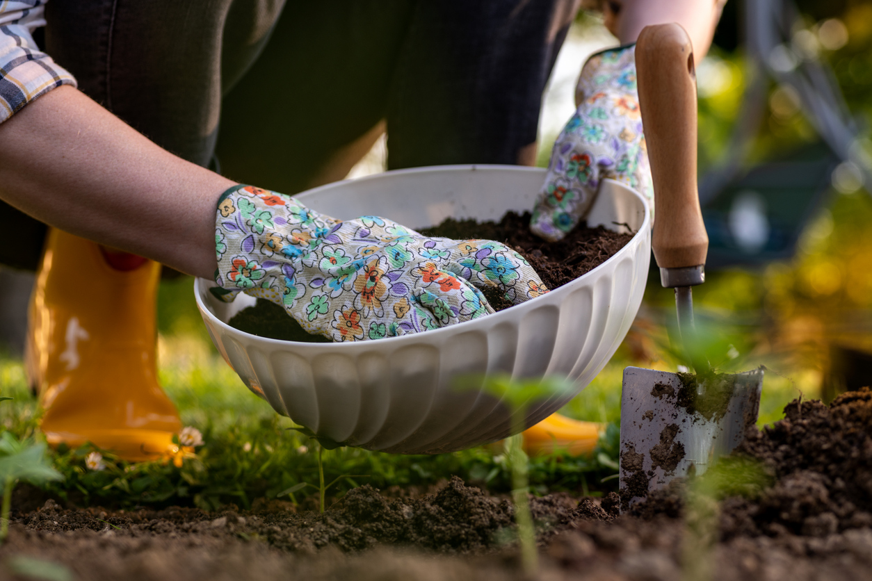 iStock-1397847951 how to till a garden Woman improving garden bed soil for planting, fertilizing with compost