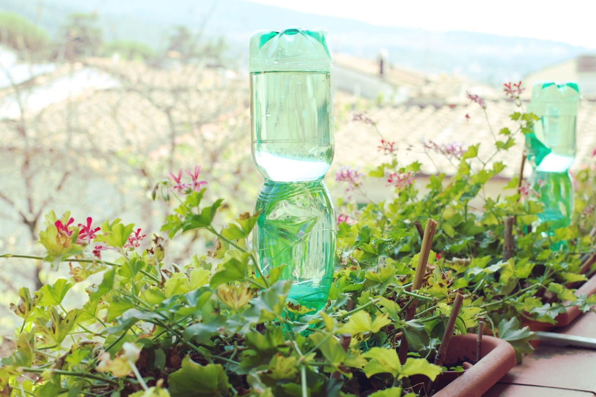 free ways to start a garden - upside down plastic bottle in garden