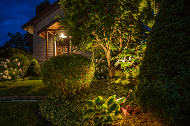uplighting-landscape-shrubs-plants-and-tree-lit-up-at-night-in-front-of-brown-house