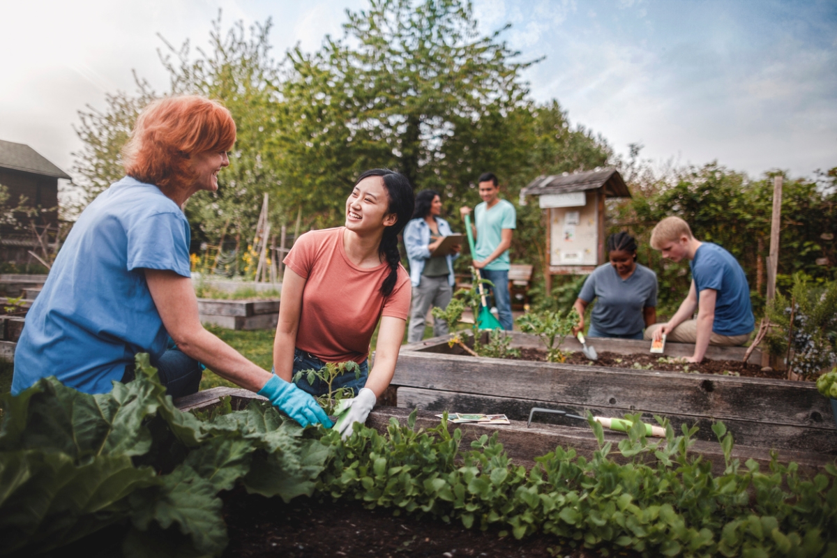 free ways to start a garden - volunteers in community garden