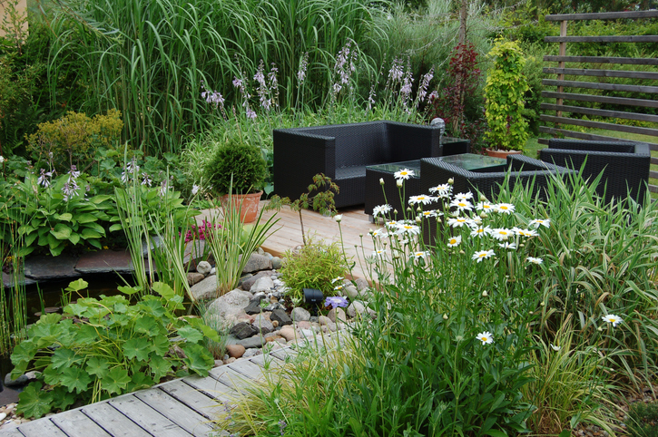 pocket-garden-native-plant-modern-design-garden-with-black-furniture.