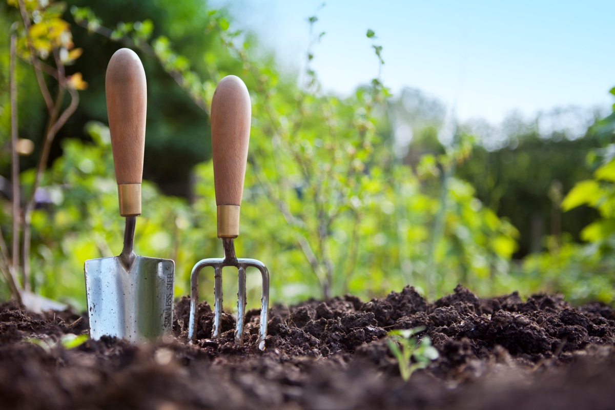 free ways to start a garden - garden tools standing in garden